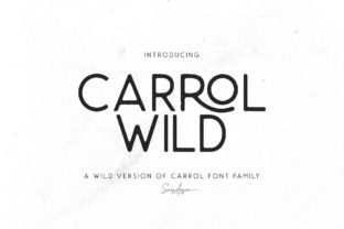 Carrol Wild: The Bold Sans Serif Font for Modern Digital Campaigns
