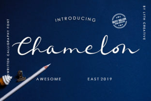 Chamelon: A Script Handwritten Font for Modern Web Design