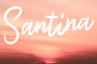 Santina: A Script Handwritten Font for Creative Crafters and Product Designers
